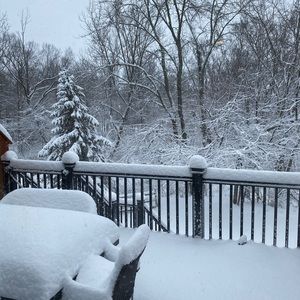 Meet your Posher, Sung